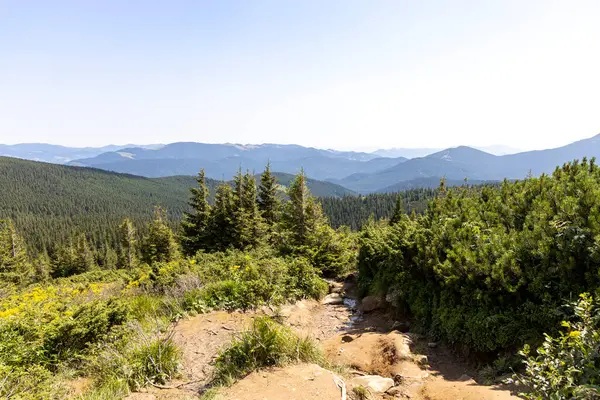 Yazın Ukrayna Karpatları 'nda dağ manzarası.