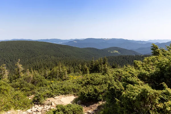 Mountain Landscape Ukrainian Carpathians Summer — Stock Photo, Image
