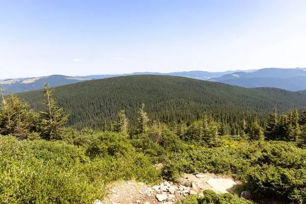 Yazın Ukrayna Karpatları 'nda dağ manzarası.