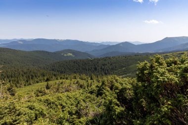 Yazın Ukrayna Karpatları 'nda dağ manzarası.