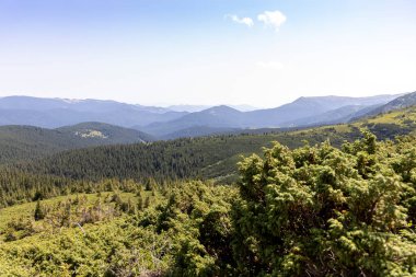Yazın Ukrayna Karpatları 'nda dağ manzarası.