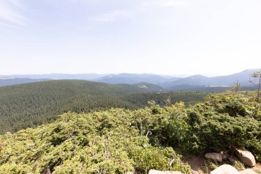 Yazın Ukrayna Karpatları 'nda dağ manzarası.