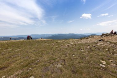 Yazın Ukrayna Karpatları 'nda dağ manzarası.