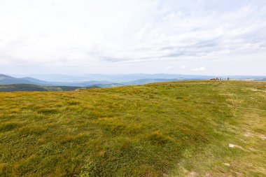 Yazın Ukrayna Karpatları 'nda dağ manzarası.