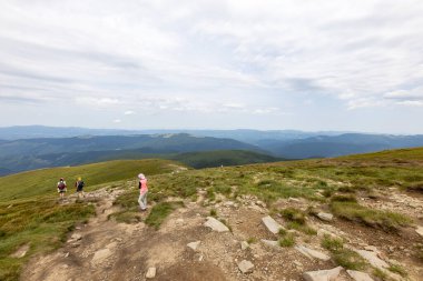 Yazın Ukrayna Karpatları 'nda dağ manzarası.