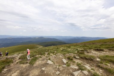 Yazın Ukrayna Karpatları 'nda dağ manzarası.