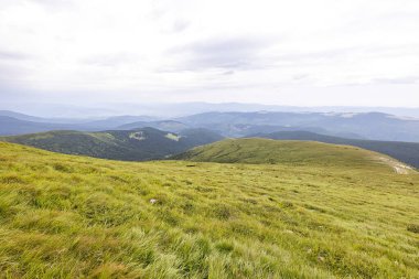 Yazın Ukrayna Karpatları 'nda dağ manzarası.