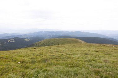 Yazın Ukrayna Karpatları 'nda dağ manzarası.
