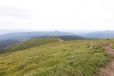 Yazın Ukrayna Karpatları 'nda dağ manzarası.