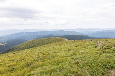Yazın Ukrayna Karpatları 'nda dağ manzarası.