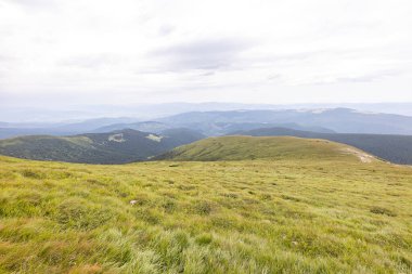Yazın Ukrayna Karpatları 'nda dağ manzarası.