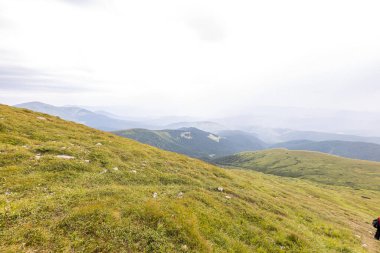 Yazın Ukrayna Karpatları 'nda dağ manzarası.