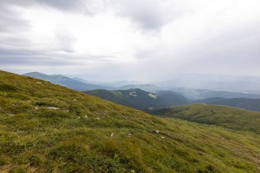Yazın Ukrayna Karpatları 'nda dağ manzarası.