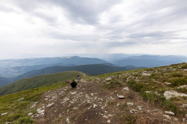 Ukrayna Karpatları 'nda Hoverla Tepesi Panoraması.
