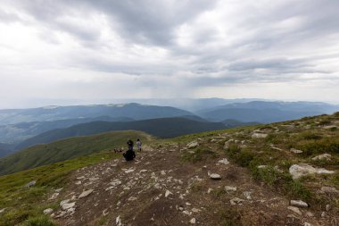 Ukrayna Karpatları 'nda Hoverla Tepesi Panoraması.