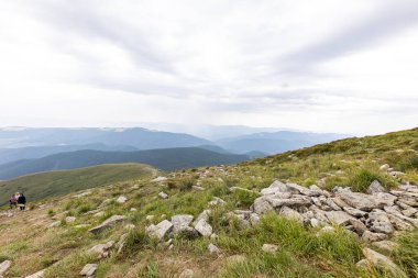 Ukrayna Karpatları 'nda Hoverla Tepesi Panoraması.