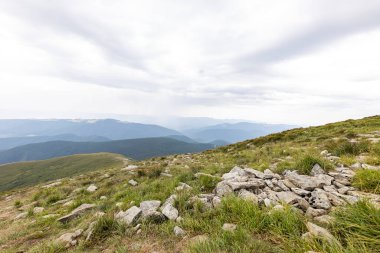Ukrayna Karpatları 'nda Hoverla Tepesi Panoraması.