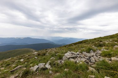 Ukrayna Karpatları 'nda Hoverla Tepesi Panoraması.