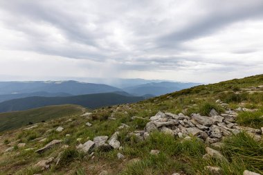 Ukrayna Karpatları 'nda Hoverla Tepesi Panoraması.