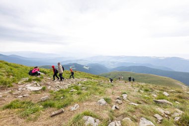 Ukrayna Karpatları 'nda Hoverla Tepesi Panoraması.
