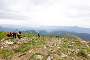 Ukrayna Karpatları 'nda Hoverla Tepesi Panoraması.