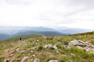 Ukrayna Karpatları 'nda Hoverla Tepesi Panoraması.