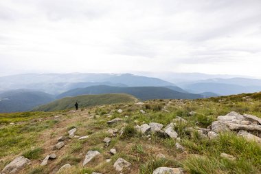 Ukrayna Karpatları 'nda Hoverla Tepesi Panoraması.