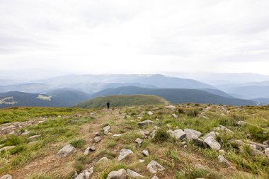 Ukrayna Karpatları 'nda Hoverla Tepesi Panoraması.