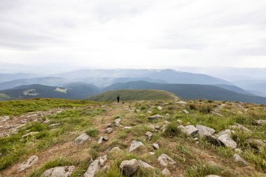 Ukrayna Karpatları 'nda Hoverla Tepesi Panoraması.