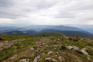 Ukrayna Karpatları 'nda Hoverla Tepesi Panoraması.