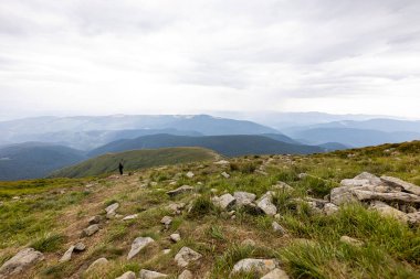 Ukrayna Karpatları 'nda Hoverla Tepesi Panoraması.