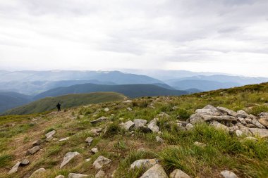 Ukrayna Karpatları 'nda Hoverla Tepesi Panoraması.