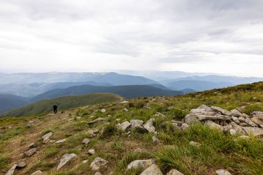 Ukrayna Karpatları 'nda Hoverla Tepesi Panoraması.