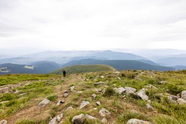 Ukrayna Karpatları 'nda Hoverla Tepesi Panoraması.