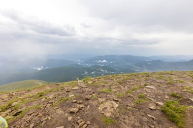 Ukrayna Karpatları 'nda Hoverla Tepesi Panoraması.