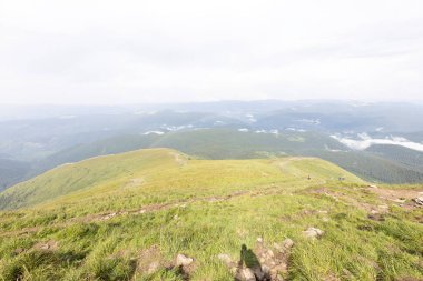 Bir yaz günü Ukrayna Karpatları 'nda dağ panoraması.