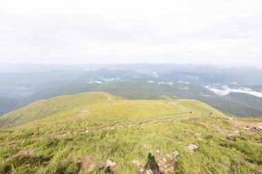 Bir yaz günü Ukrayna Karpatları 'nda dağ panoraması.