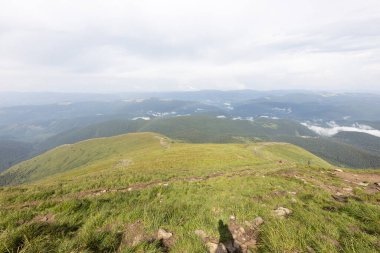 Bir yaz günü Ukrayna Karpatları 'nda dağ panoraması.