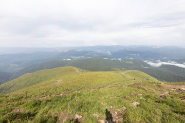 Bir yaz günü Ukrayna Karpatları 'nda dağ panoraması.