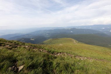 Bir yaz günü Ukrayna Karpatları 'nda dağ panoraması.