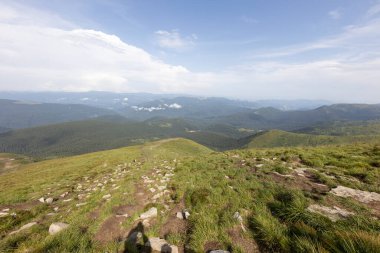 Bir yaz günü Ukrayna Karpatları 'nda dağ panoraması.