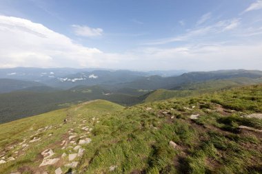 Bir yaz günü Ukrayna Karpatları 'nda dağ panoraması.