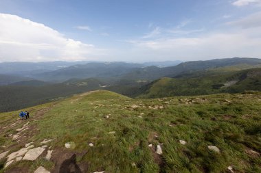 Bir yaz günü Ukrayna Karpatları 'nda dağ panoraması.