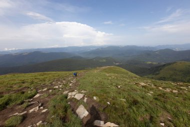 Bir yaz günü Ukrayna Karpatları 'nda dağ panoraması.