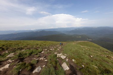 Bir yaz günü Ukrayna Karpatları 'nda dağ panoraması.