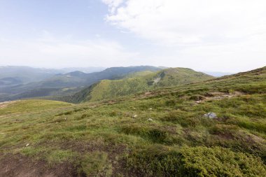 Bir yaz günü Ukrayna Karpatları 'nda dağ panoraması.