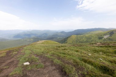 Bir yaz günü Ukrayna Karpatları 'nda dağ panoraması.