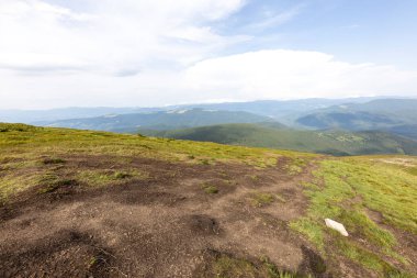 Bir yaz günü Ukrayna Karpatları 'nda dağ panoraması.
