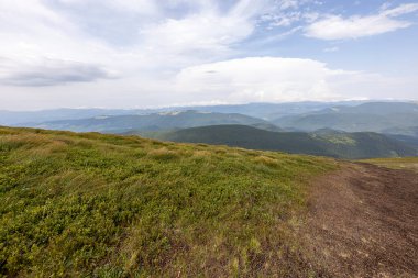 Bir yaz günü Ukrayna Karpatları 'nda dağ panoraması.