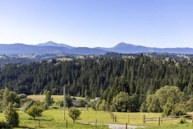 Yazın Ukrayna Karpatları 'nda dağ manzarası.